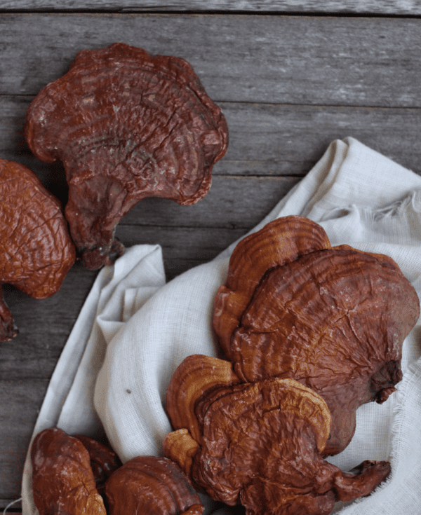 "Reishi" Grybas 240mg Polisacharidų 'Ostrovit Pharma' (60kaps/60porc) - Image 2