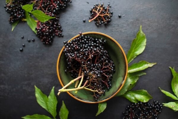 “Elderberry” Šeivamedžio Ekstraktas 132mg polifenolių ‘Ostrovit Pharma’ (90kaps/90porc) - Image 2