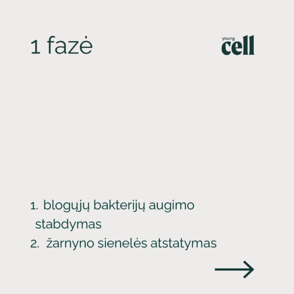„Young Cell” trijų fazių žarnyno atkūrimo programą - Image 3