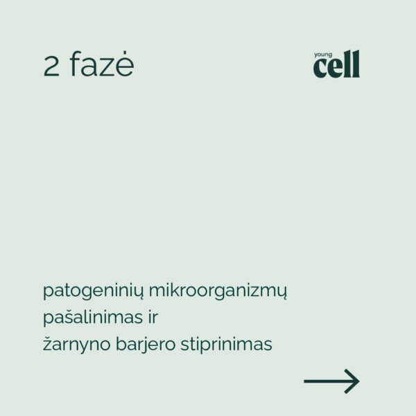 „Young Cell” trijų fazių žarnyno atkūrimo programą - Image 4