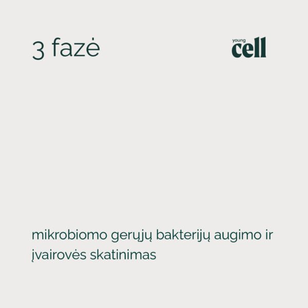 „Young Cell” trijų fazių žarnyno atkūrimo programą - Image 5