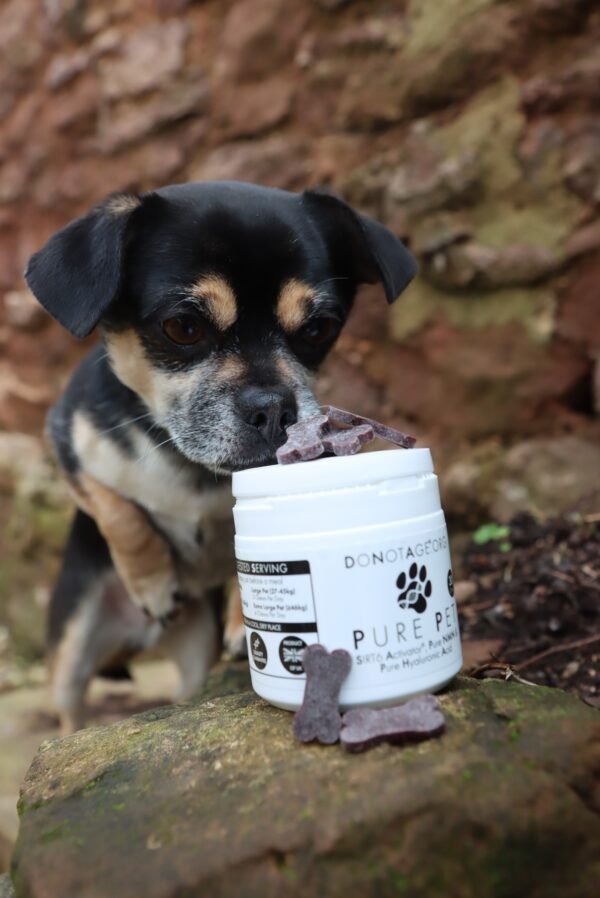 “Pure Pet” Augintinių Ilgaamžiškumui, sveikatai ‘DoNotAge.org (30tabl/30porc) - Image 3