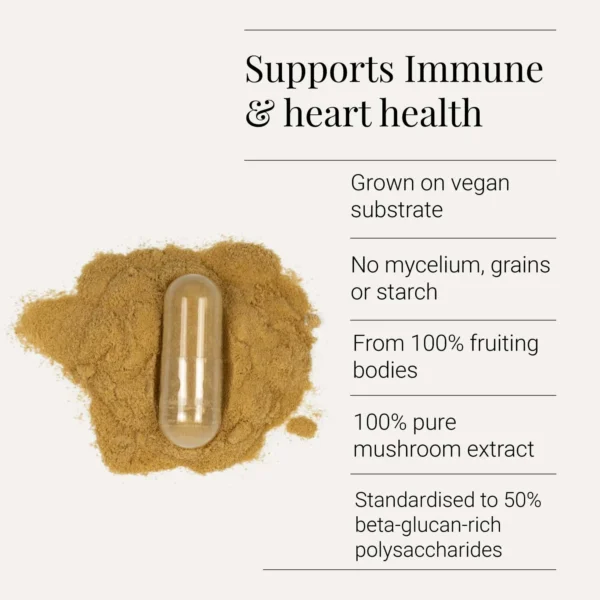 "Reishi" Ekologiškas reishi grybų ekstraktas 'KIKI Health' (60kaps/30porc) - Image 2