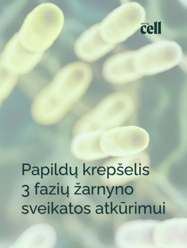 žarnyno-atkūrimo-programą